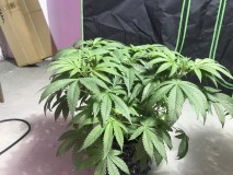 94B8DB5F-04BF-4639-81F3-5C050932FD24