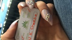 C77C8E53-FBE2-423E-BDA5-0952E2BDDAD2