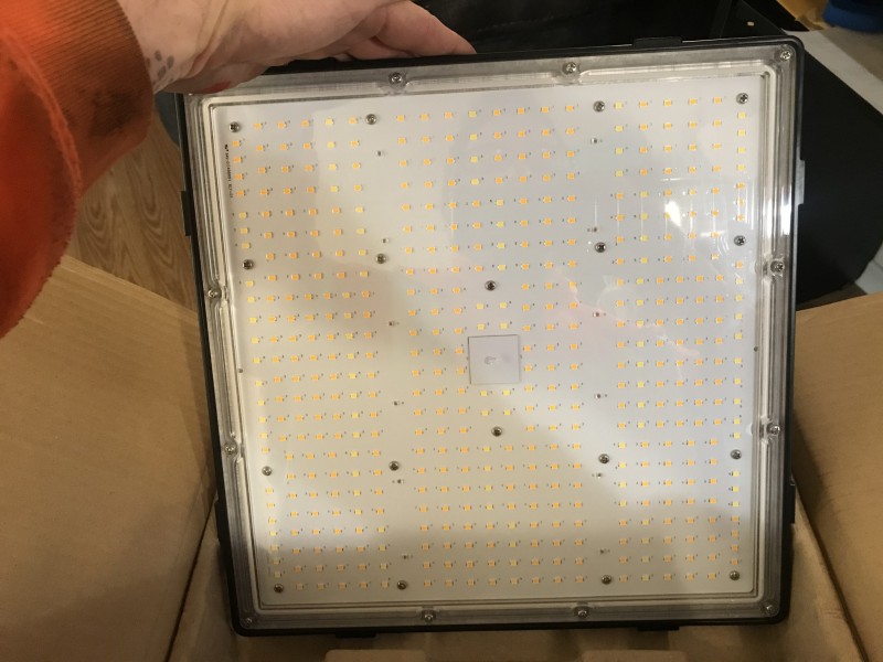 184BB5A8-0D89-4C60-AE05-D0AE2F875C48