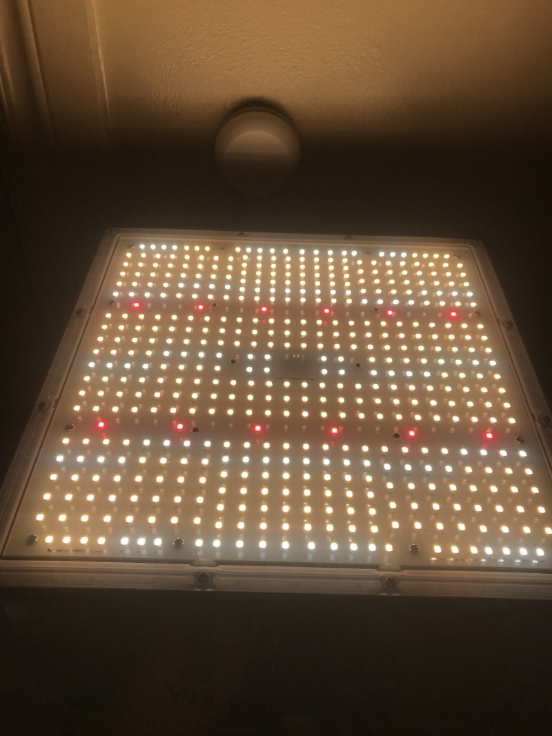 14E561EA-27A6-4242-83F7-C8656BE4F1DD