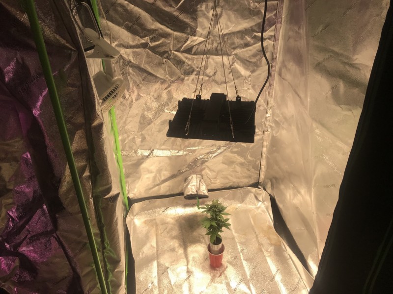 6AE9CA79-13FE-48CD-9147-D91B242B824C