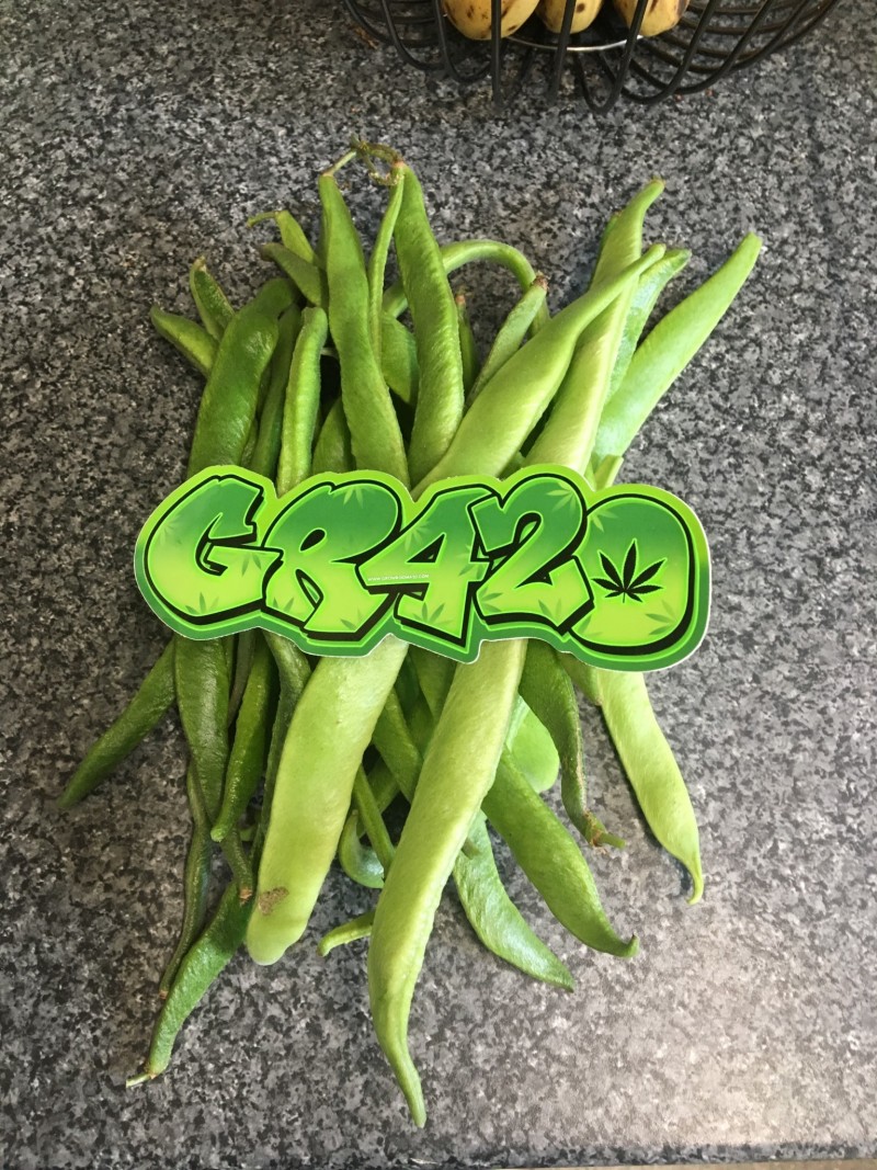 E569243A-33A0-4398-B352-63EE938033F7