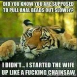 101091105_2676966715957676_8707280034898903040_n