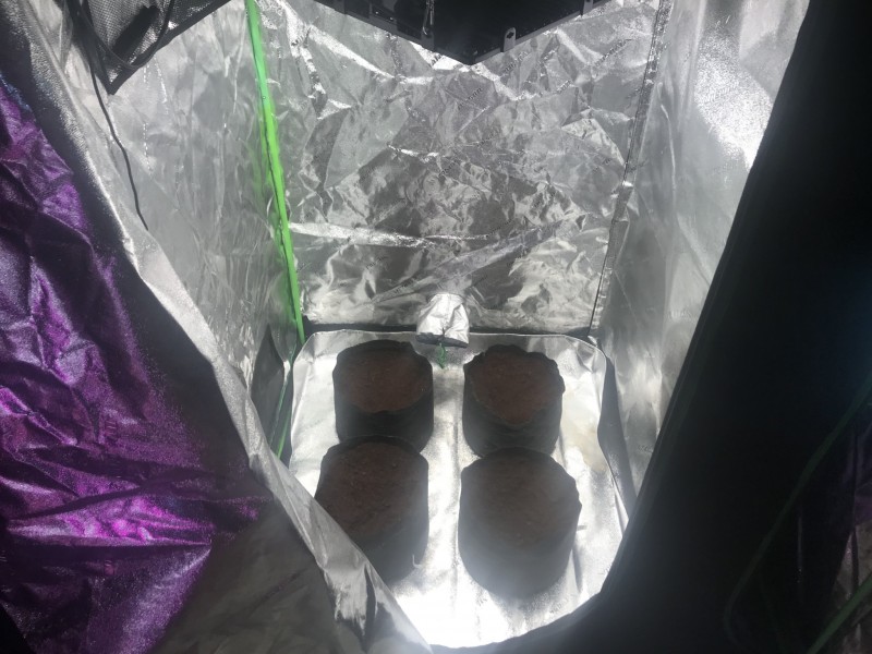 334D9465-2C5A-44F9-9B78-AB9FA8B663A7