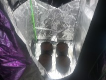 334D9465-2C5A-44F9-9B78-AB9FA8B663A7