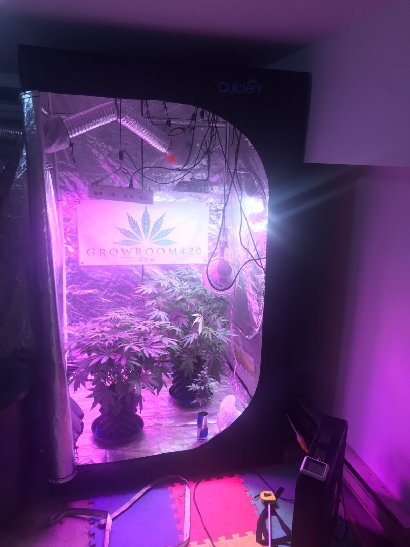 BA9F3BE9-82F0-4CED-A994-DB81B447A992