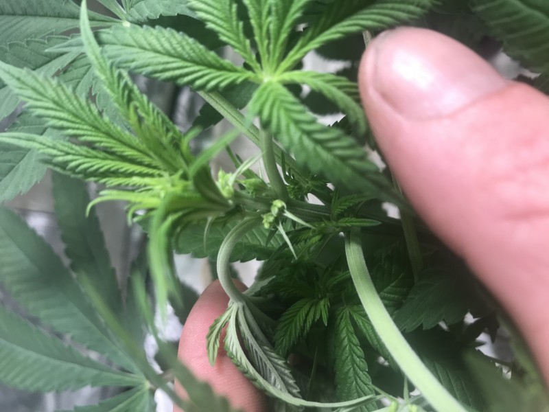 69C10581-8259-4AE0-A7EF-3CBCCF9E7298