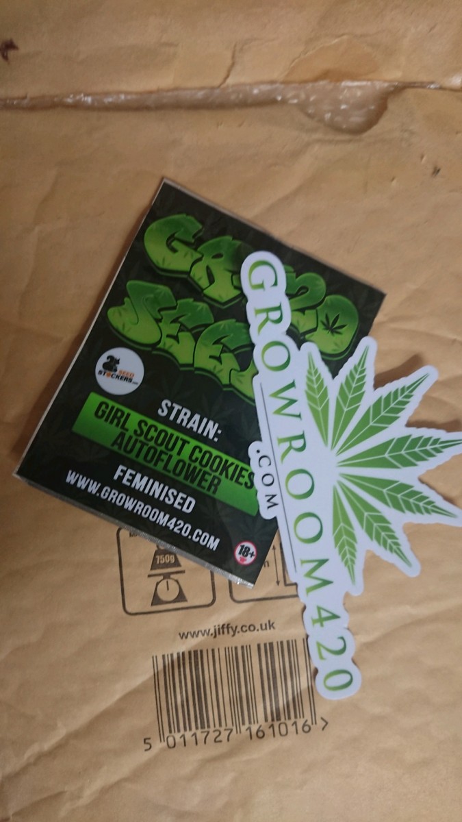 obscura1600942870709