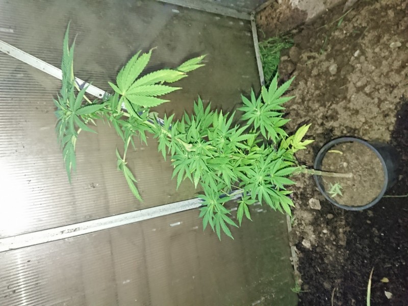 16009688655186324336536280398978