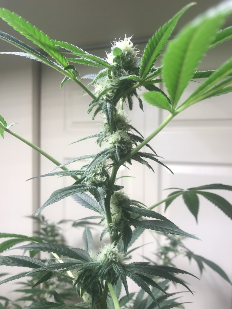 9C611315-5BDB-4A51-A817-48F98DEFC09D