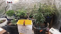 16012192952127661894053630507851