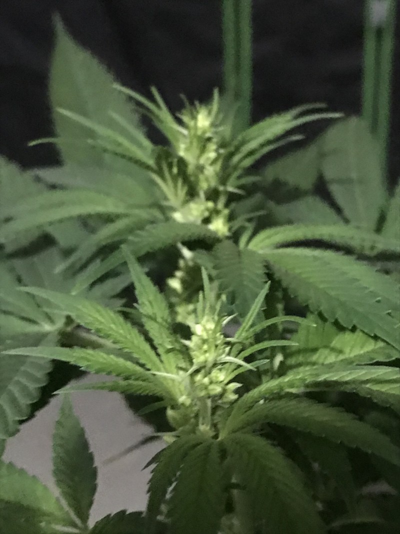 8C87EB24-AC76-4767-8886-D6AE44EED073