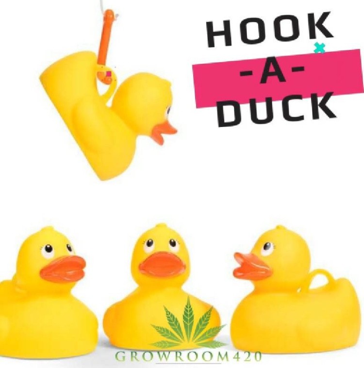 10463F41-4C6A-450F-994B-3A94745DB913