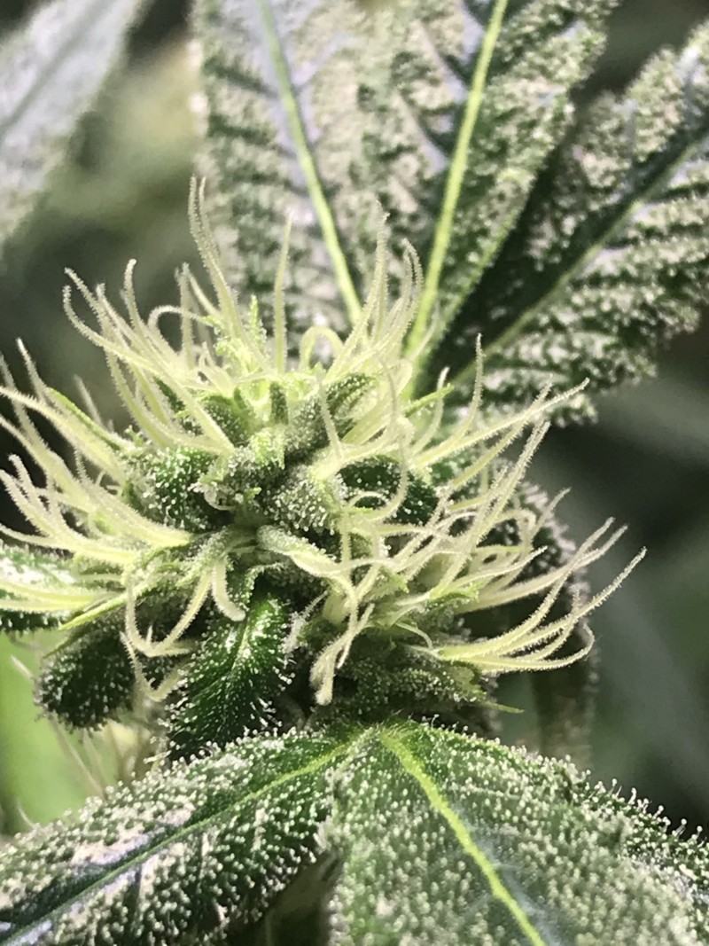 85DAD992-757E-4640-BF87-B3D1C8E9BA18