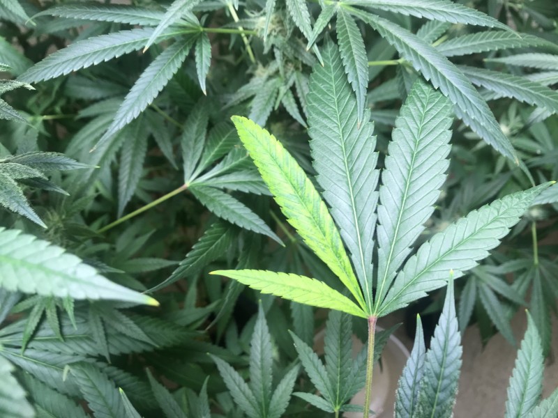 8F5AAD1D-9C90-4C48-B84C-E1E879DBB1B6