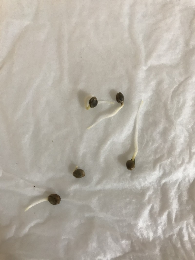 222A1D97-E800-4C58-A0A8-5FD08B0E0D9E