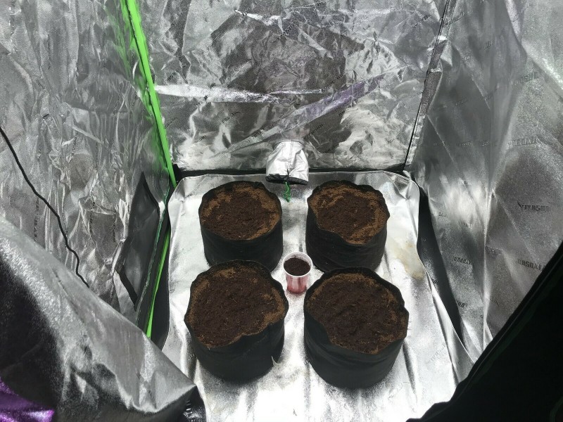 0723F80C-3304-4C2A-A76A-85D18DDCD1AB