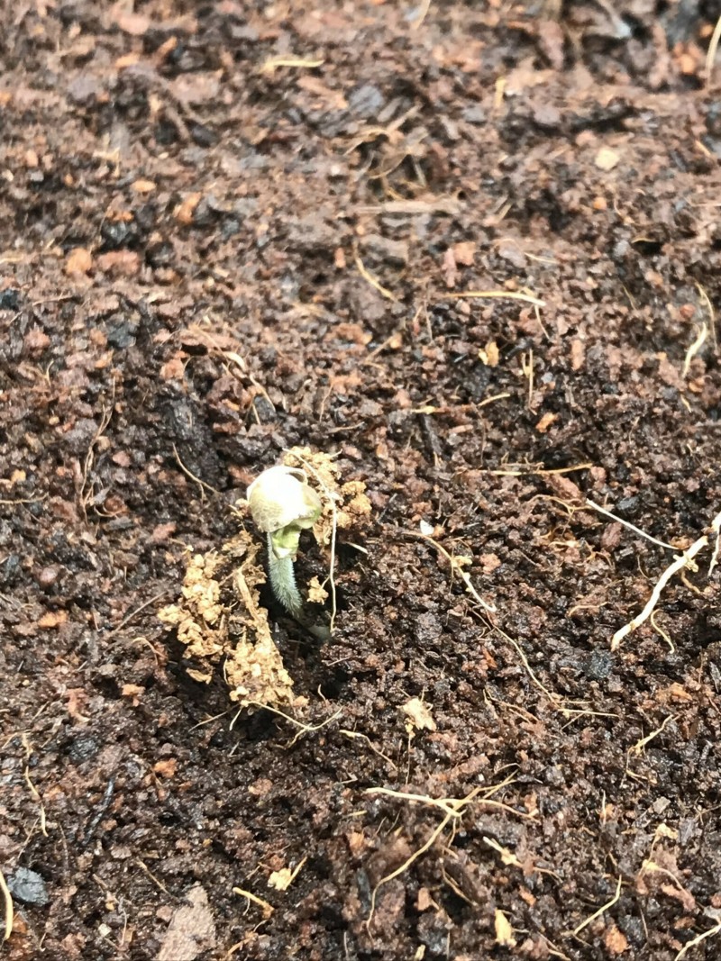 0DAC056D-47B2-4341-BC7A-25476F6A0CAE