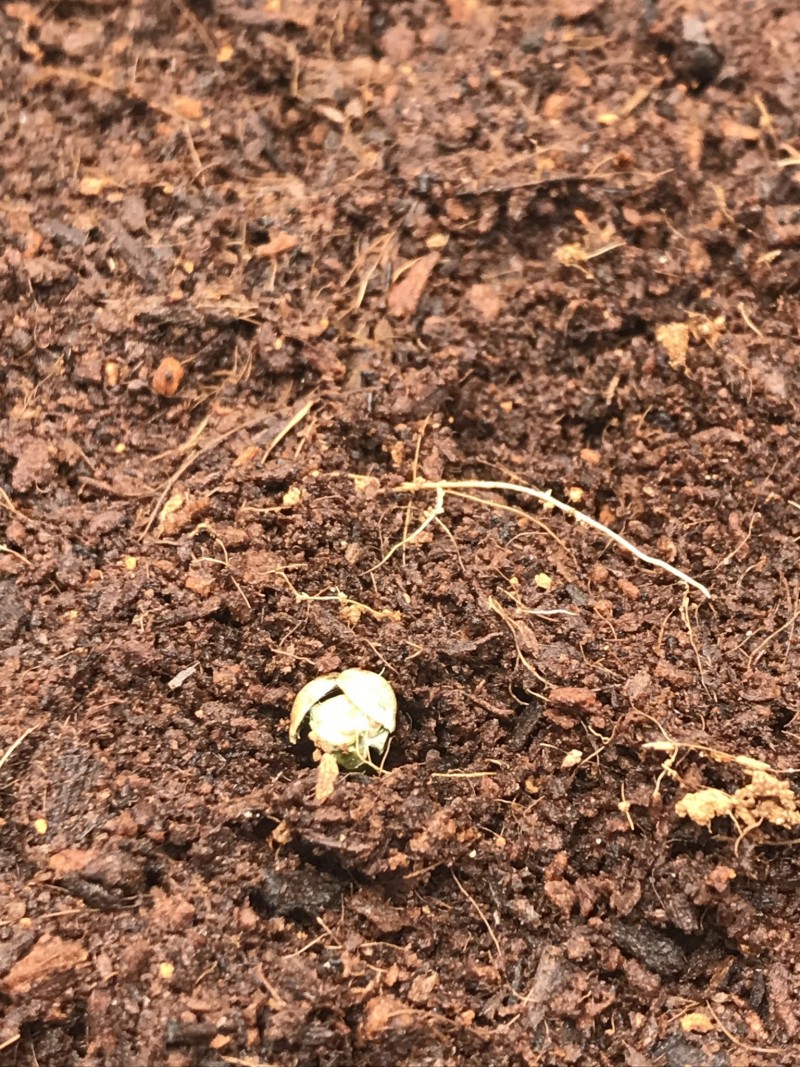 727E93C2-F8A0-4B32-B019-B12D902F68C9