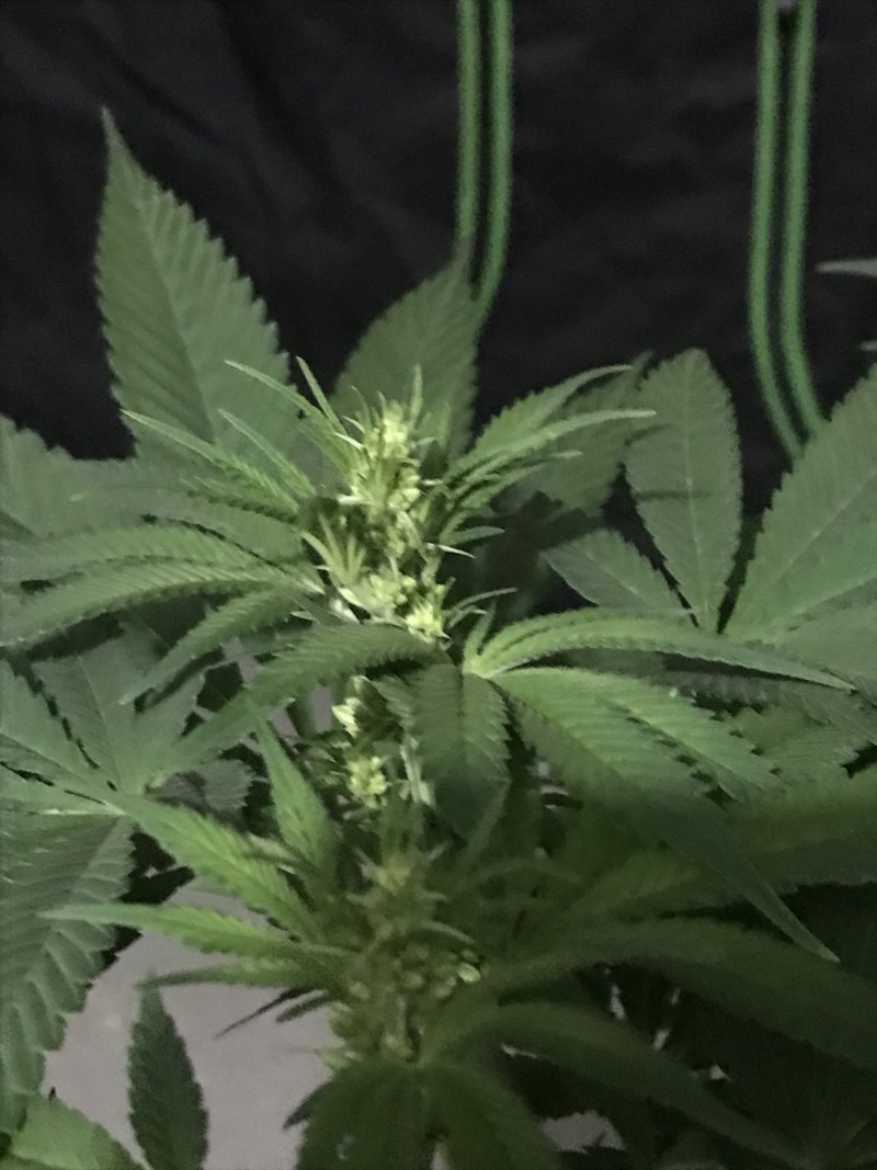 06F21DDE-C211-4359-A642-454C4EB57CF4