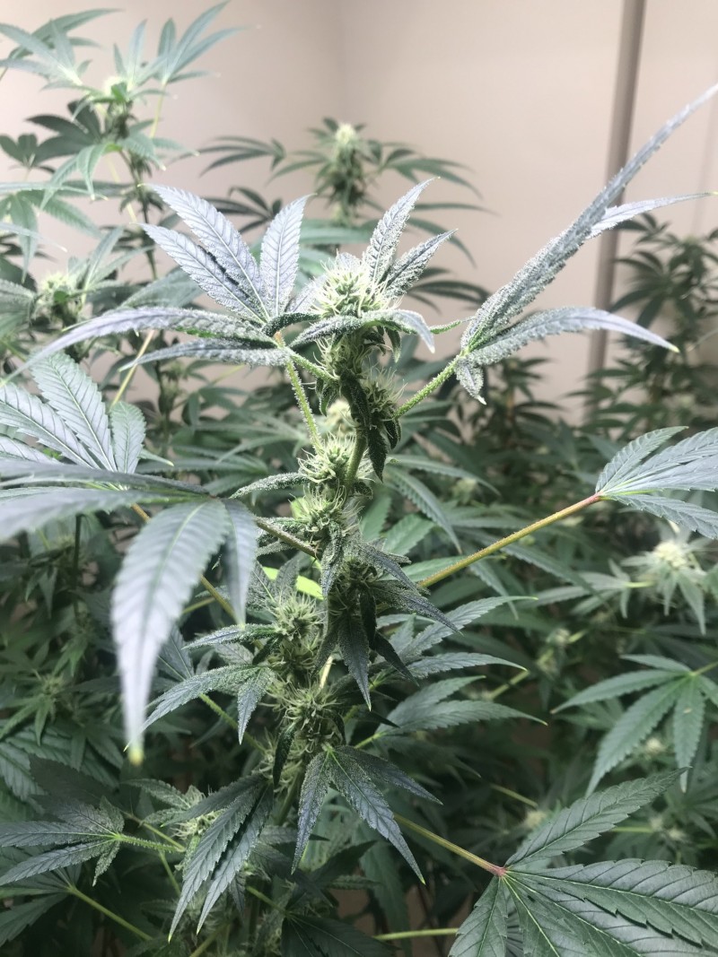 81A587F5-B9BE-4948-92B8-184B8783D316