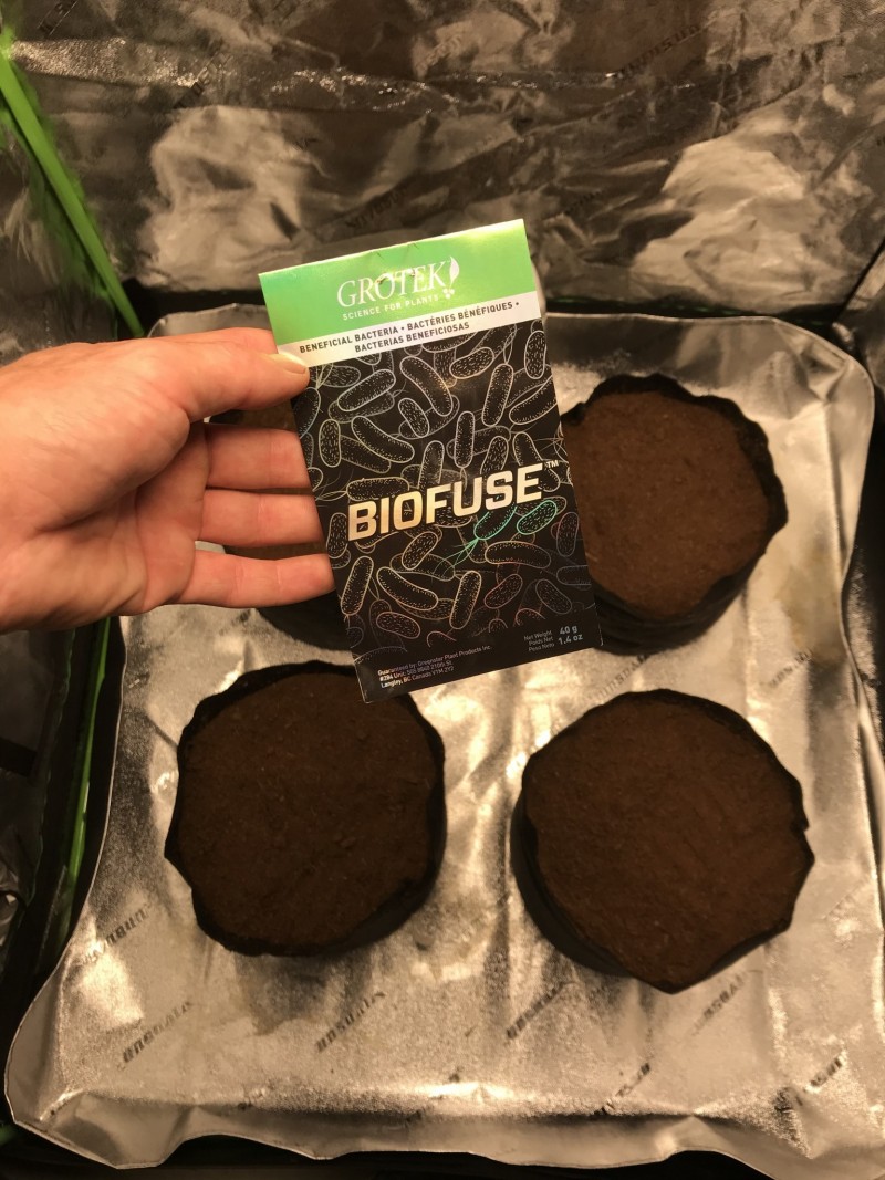 4A411651-33EA-411E-AEF8-8D9A2D376A1C