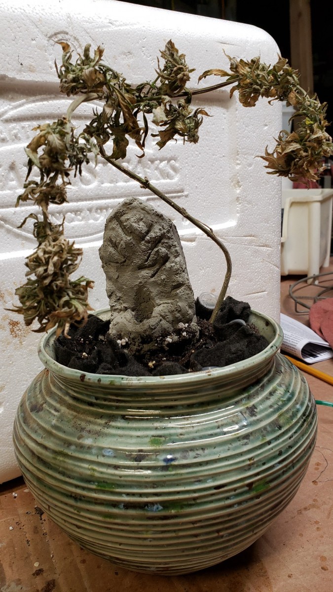 16013340774948545681158121447136