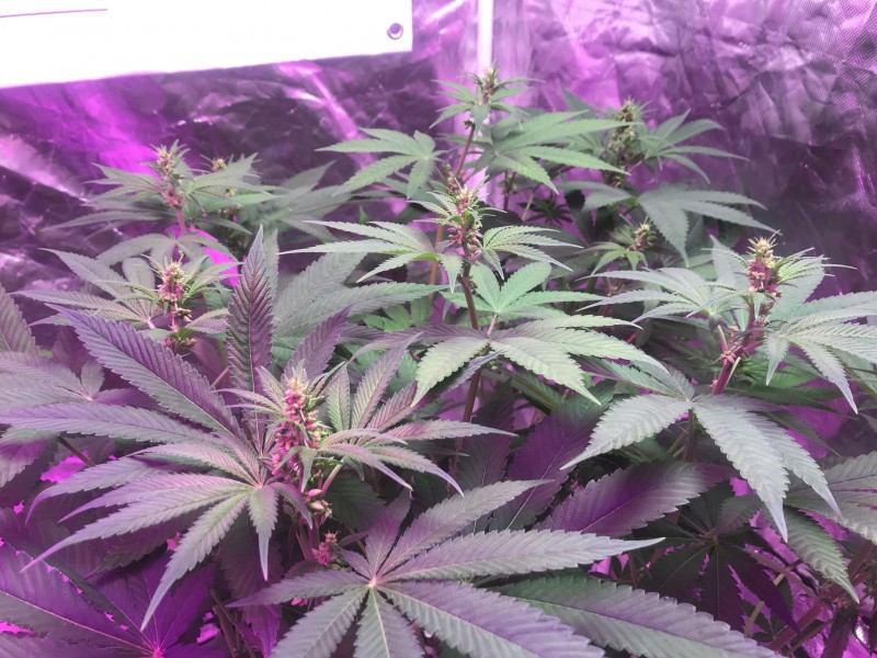 D4AB3B78-229A-4ABF-9C13-5B12B5D98D23