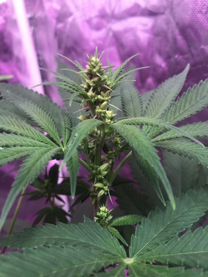 2B82E13B-EA82-43A8-B3B8-660FDA077D98