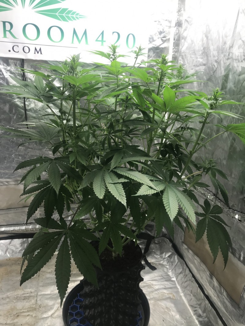 5EC7AB51-070B-4B52-9852-C5FDF117E008