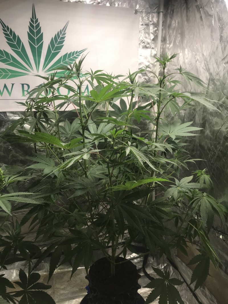 7AD5E45F-80C0-4AC6-ADD6-EED966BB5C65