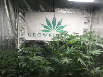 5C529D0B-08E0-417E-BC7E-33D89CAA070D