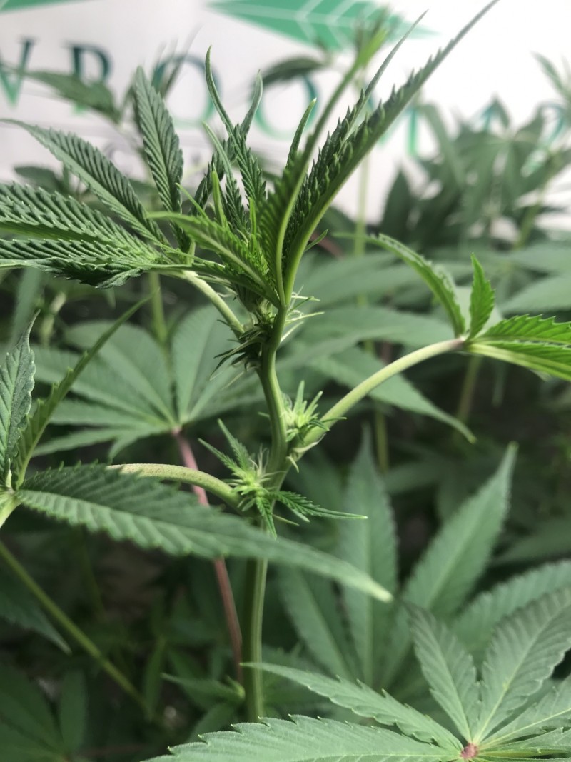 215C4FA7-FF57-410F-90DA-33DBD3AB3DC5