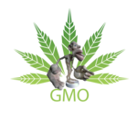 gmo small