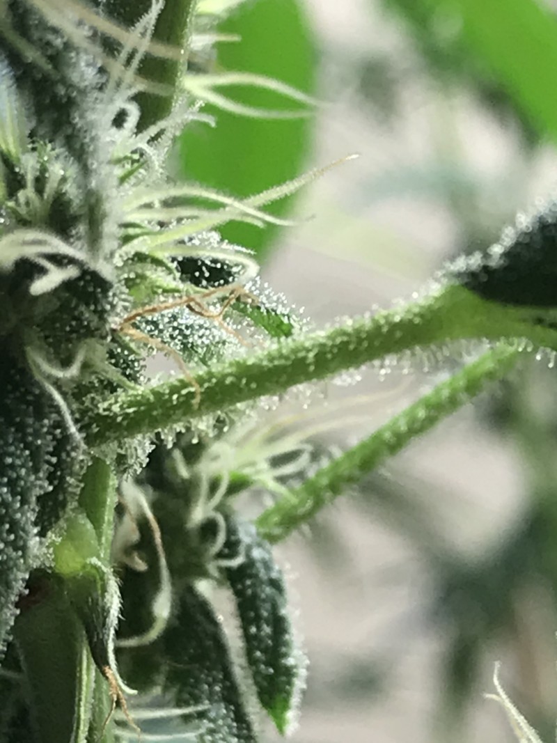 113D0748-4503-4F29-92C7-E5812F5AD7BD