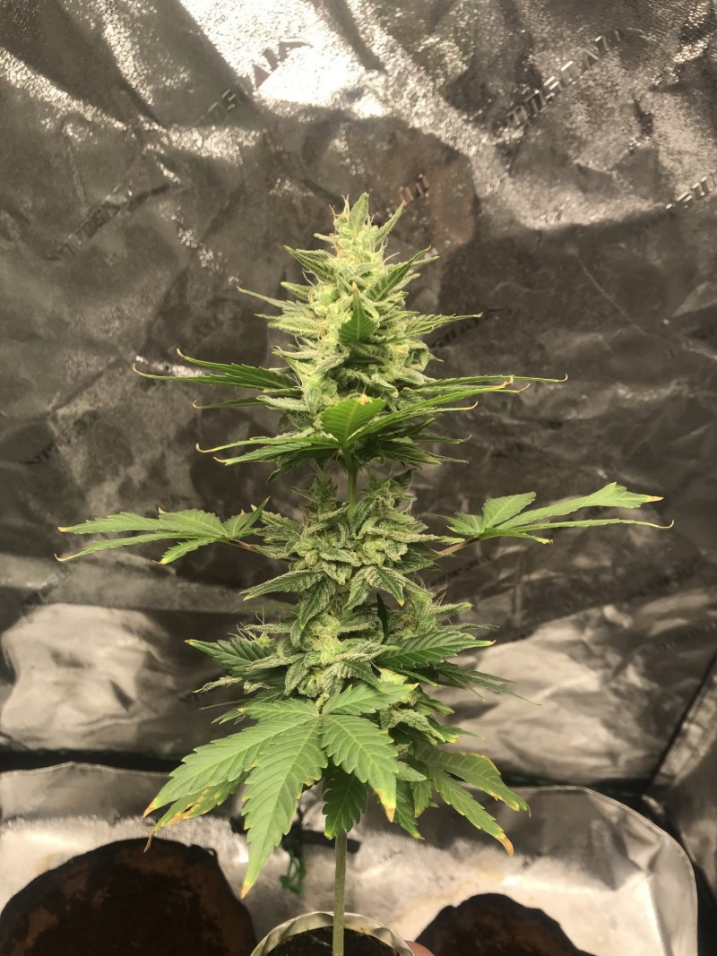 377368C1-5974-47EA-A3F2-A41C1028CAB0