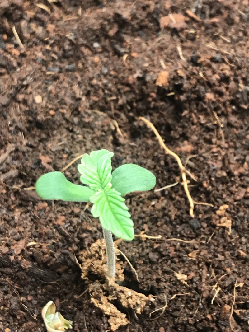 62BD6FE1-ECEE-4B78-8AF7-54CD380525AD