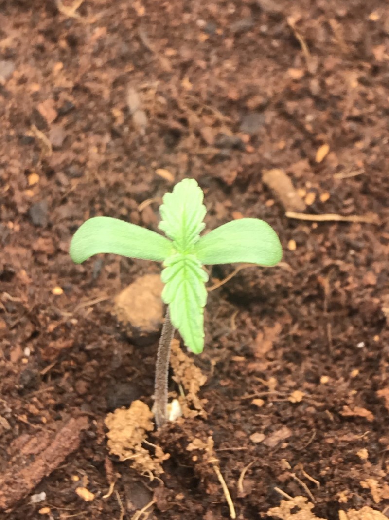 377AEF87-47CF-4833-BB23-7DE03729BA27