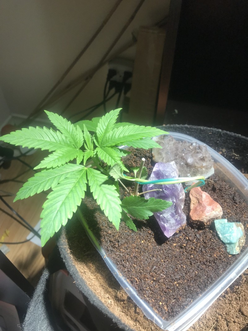 E73AAEDE-2BE4-4038-8D9B-E25CB67223EB