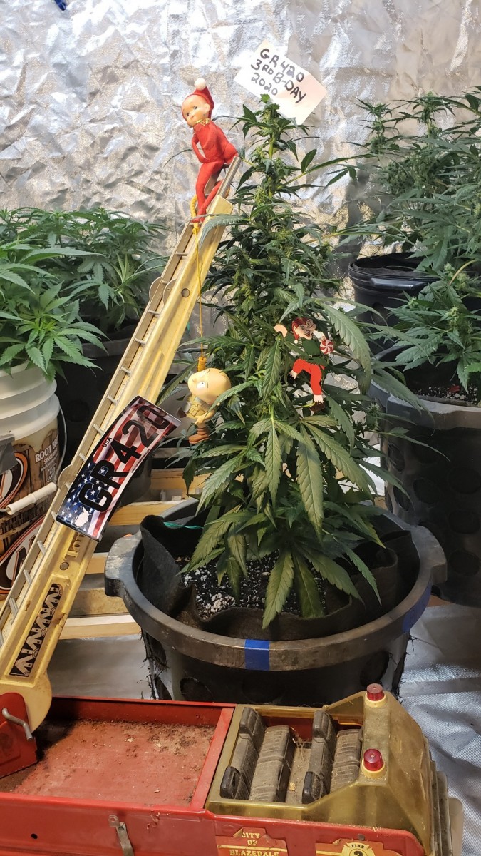 16014750879296923032973826705041