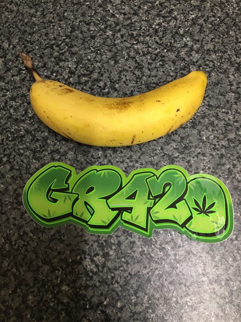 7AABD377-1306-4208-ADA1-83A49596D95A