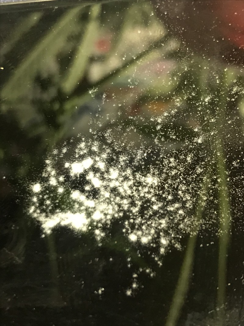 19EFE8A6-ACD0-4ABF-BBA6-91A9E07137CB