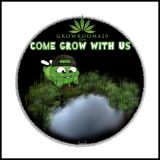 Untitled865_20200920153704