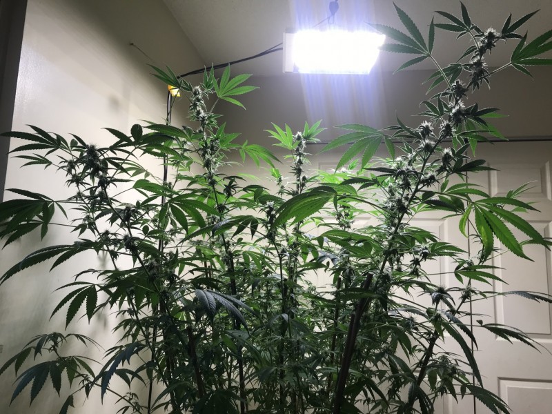 DC446352-B252-4FE5-8BFA-94E91765FBAB