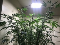 DC446352-B252-4FE5-8BFA-94E91765FBAB