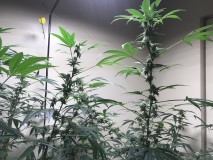 9D19D2BF-F1C2-4CFE-AA1D-E33D6318CE30