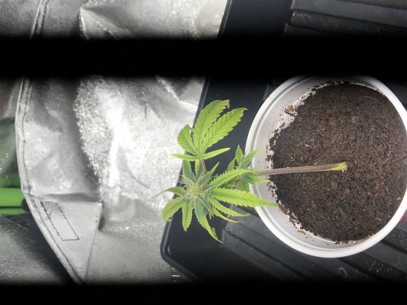 022025C5-894D-4278-8FFE-41889EB013C3