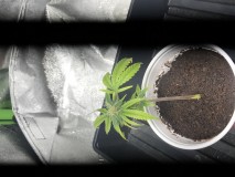 022025C5-894D-4278-8FFE-41889EB013C3