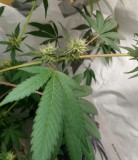 427A9F07-4F86-489E-8F69-F42F762B2609