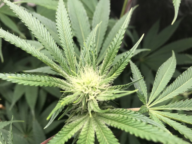 4B65C46F-3D98-4105-B017-0E9C1E98075E